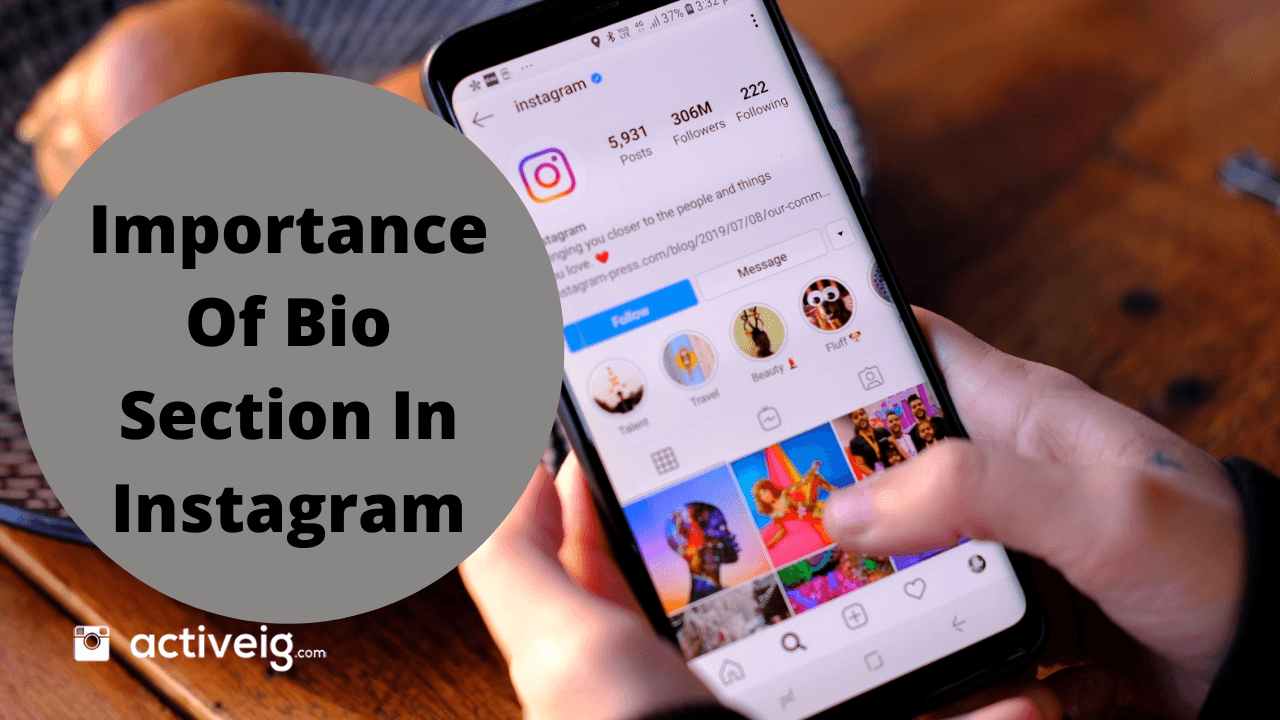 Importance of Bio Section In Instagram