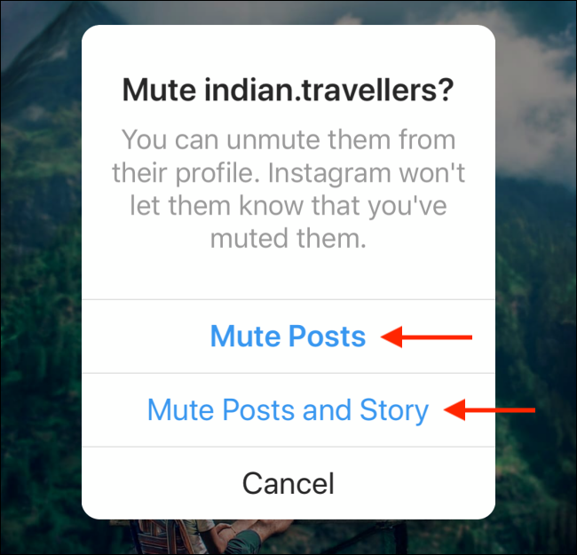 Mute Someone on Instagram Step 3