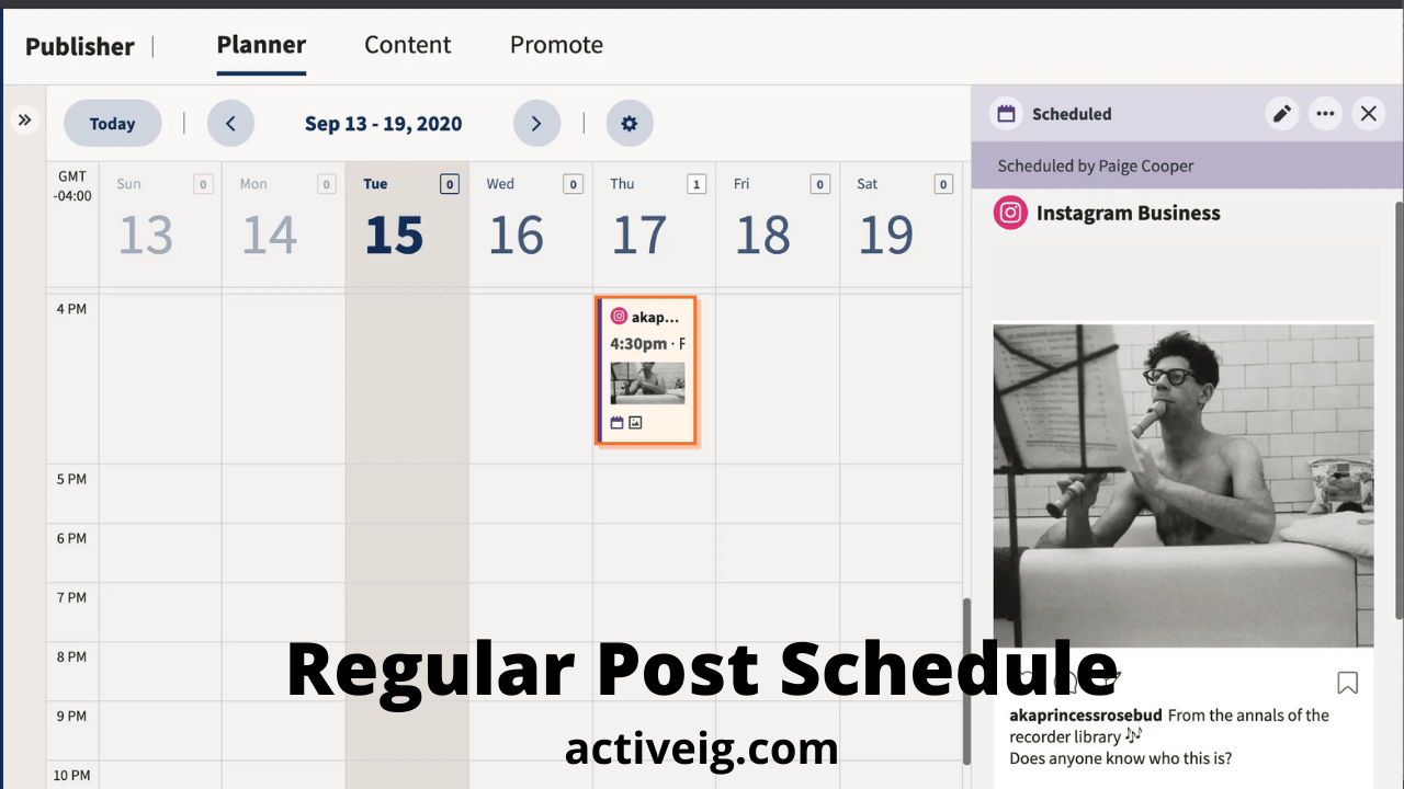 Regular Post Schedule