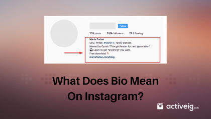 What Does Bio Mean On Instagram?